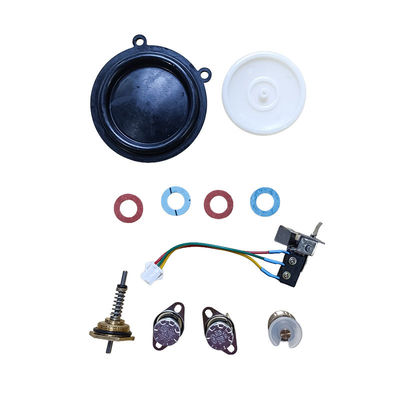 Reparatur-Kit für Rauchgas-Wasserbereiter Thermostat Mikroschalter Sensor und Ventil enthalten
